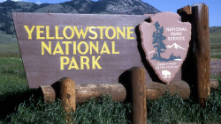  Yellowstone National Park