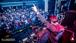 Avalon Hollywood & Bardot Los Angeles