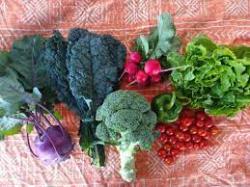 Were passionate about growing produce organically within an ecological system - and offering our customers an option to buy affordable food thats fair and healthy for the consumer, environment, farm staff, and farmers. Bleu7.com