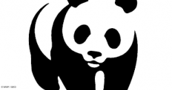 Adepte dune action fonde sur le dialogue et le respect de lautre, le WWF adopte une approche globaliste prenant en compte linterdpendance de ltat de la plante avec le dveloppement humain. Bleu7.com