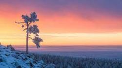 In the middle of tranquil Lappish nature, on top of the hill Ollerovaara, exists a rural getaway like no other. Far from the everyday, yet closer than you might think. Bleu7.com