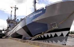 Serving as the only fleet in the world whose sole purpose is to protect all marine wildlife, we are committed to the protection and enforcement of conservation law. Bleu7.com