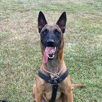 Best Security Guard Agency