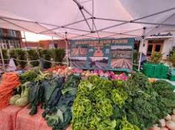 Were passionate about growing produce organically within an ecological system - and offering our customers an option to buy affordable food thats fair and healthy for the consumer, environment, farm staff, and farmers. Bleu7.com