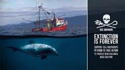 Serving as the only fleet in the world whose sole purpose is to protect all marine wildlife, we are committed to the protection and enforcement of conservation law. Bleu7.com