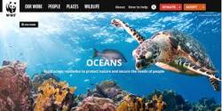 Adepte dune action fonde sur le dialogue et le respect de lautre, le WWF adopte une approche globaliste prenant en compte linterdpendance de ltat de la plante avec le dveloppement humain. Bleu7.com