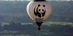 Adepte dune action fonde sur le dialogue et le respect de lautre, le WWF adopte une approche globaliste prenant en compte linterdpendance de ltat de la plante avec le dveloppement humain. Bleu7.com