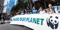 Adepte dune action fonde sur le dialogue et le respect de lautre, le WWF adopte une approche globaliste prenant en compte linterdpendance de ltat de la plante avec le dveloppement humain. Bleu7.com