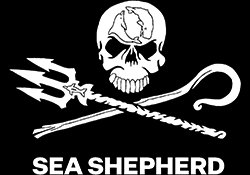 Serving as the only fleet in the world whose sole purpose is to protect all marine wildlife, we are committed to the protection and enforcement of conservation law. Bleu7.com