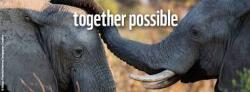 Adepte dune action fonde sur le dialogue et le respect de lautre, le WWF adopte une approche globaliste prenant en compte linterdpendance de ltat de la plante avec le dveloppement humain. Bleu7.com
