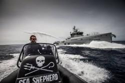 Serving as the only fleet in the world whose sole purpose is to protect all marine wildlife, we are committed to the protection and enforcement of conservation law. Bleu7.com