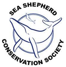 Serving as the only fleet in the world whose sole purpose is to protect all marine wildlife, we are committed to the protection and enforcement of conservation law. Bleu7.com