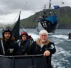 Serving as the only fleet in the world whose sole purpose is to protect all marine wildlife, we are committed to the protection and enforcement of conservation law. Bleu7.com