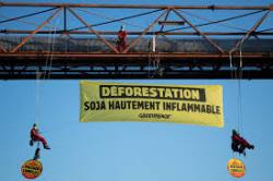 Greenpeace U.S